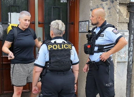 Policie Delta