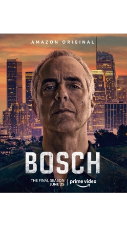 Bosch VII (7)