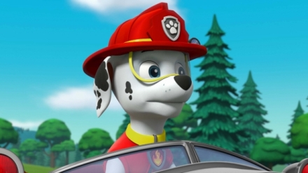 Tlapkov� patrola IV