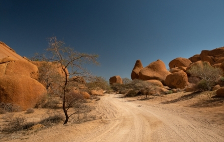 Africk� abeceda