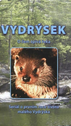 Vydrsek