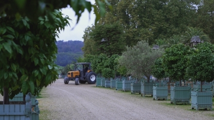 100 dn ve Versailles (4/6)