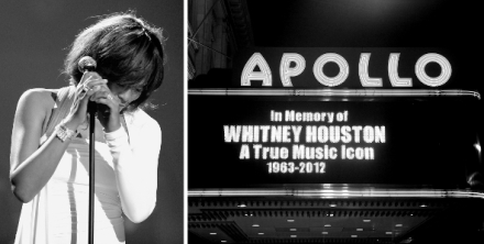 Sl�va zab�j� (1/4)