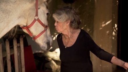 Brigitte Bardotov�, rebelka s p���inou