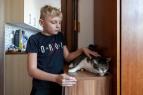 Pln� hn�zdo v �steck�m kraji 2