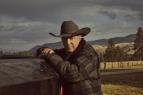 Yellowstone II (7/10)
