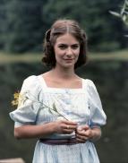 Viola