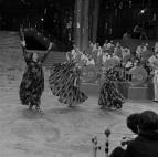 Silvestr hrav� a drav�