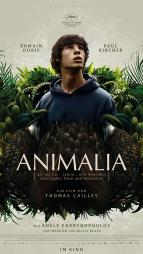 Animalia