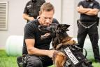 K9: Ocelov� tes�k