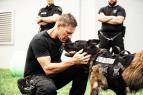 K9: Ocelov� tes�k