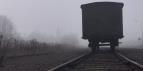 999 zapomenut�ch d�vek