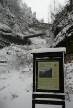 N�vraty k divo�in�