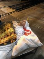 Prahou podzemn� drahou (1/3)