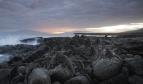 Velk� �ivotn� cesta Davida Attenborougha