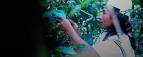 K�vov� budoucnost