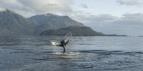 Humboldt�v proud (1/3)