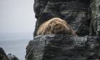 Humboldt�v proud (2/3)