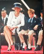 William a Harry: Nezn�m� fotografie (1/2)