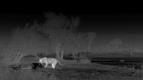 Z�zra�n� planeta: Velk� ko�ky ve dne v noci (5/6)