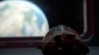Skryt� �ivot na�ich dom�c�ch mazl��k� (3/4)