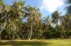 Na cest� po Vanuatu