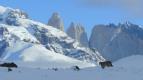 Z�zra�n� planeta: Dynastie II (2/6)
