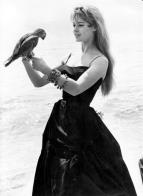 Brigitte Bardotov, rebelka s pinou