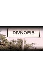 Divnopis