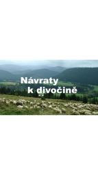 Nvraty k divoin