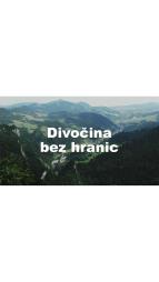 Divoina bez hranic