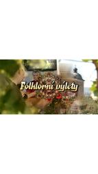 Folklorn vlety