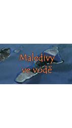 Maledivy ve vod