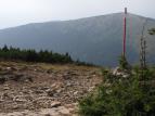 Divoina bez hranic