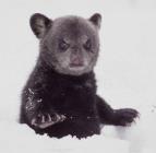 Tajemstv Velkch jezer (2/3)