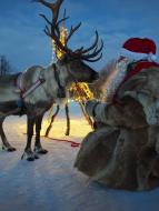 P��roda a V�noce