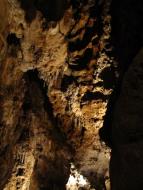 Divo�ina bez hranic