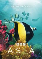 Z�zra�n� planeta: Asie (6/7)