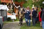Slune�n� (100)