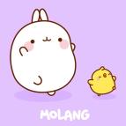 Molang (4)