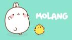 Molang (16)