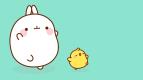 Molang (17)