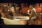 Dr. Dolittle 2