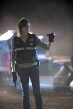 Krimin�lka Las Vegas XV (14)