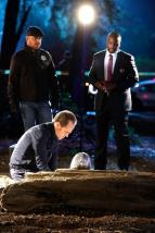 Krimin�lka Las Vegas XV (16)