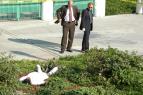 Krimin�lka Miami IV (5)