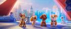 Tlapkov� patrola: Film