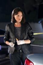 Kriminlka Las Vegas XIV (5)