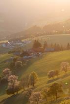 Divok� p�edh��� Alp