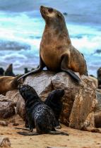 Mocn� oce�ny (2)